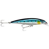 Rapala X-Rap del señuelo Pesca